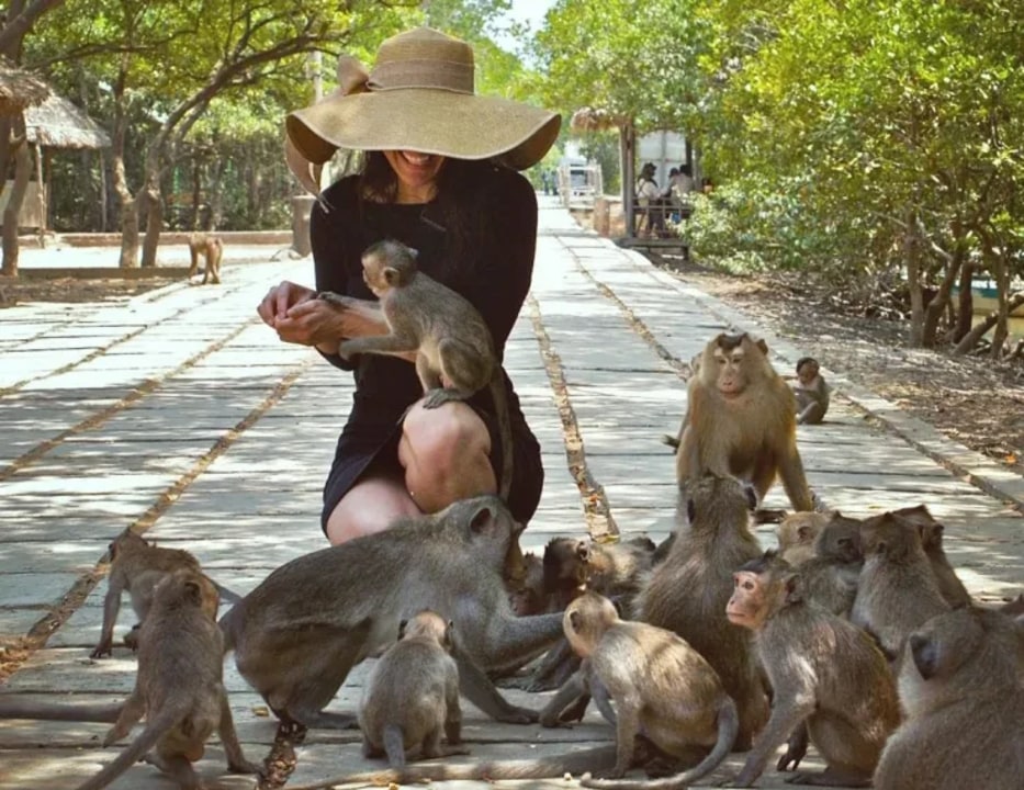 Can Gio Mangrove Forest, mangrove canals, Tang Bong Tower, Monkey Island Can Gio