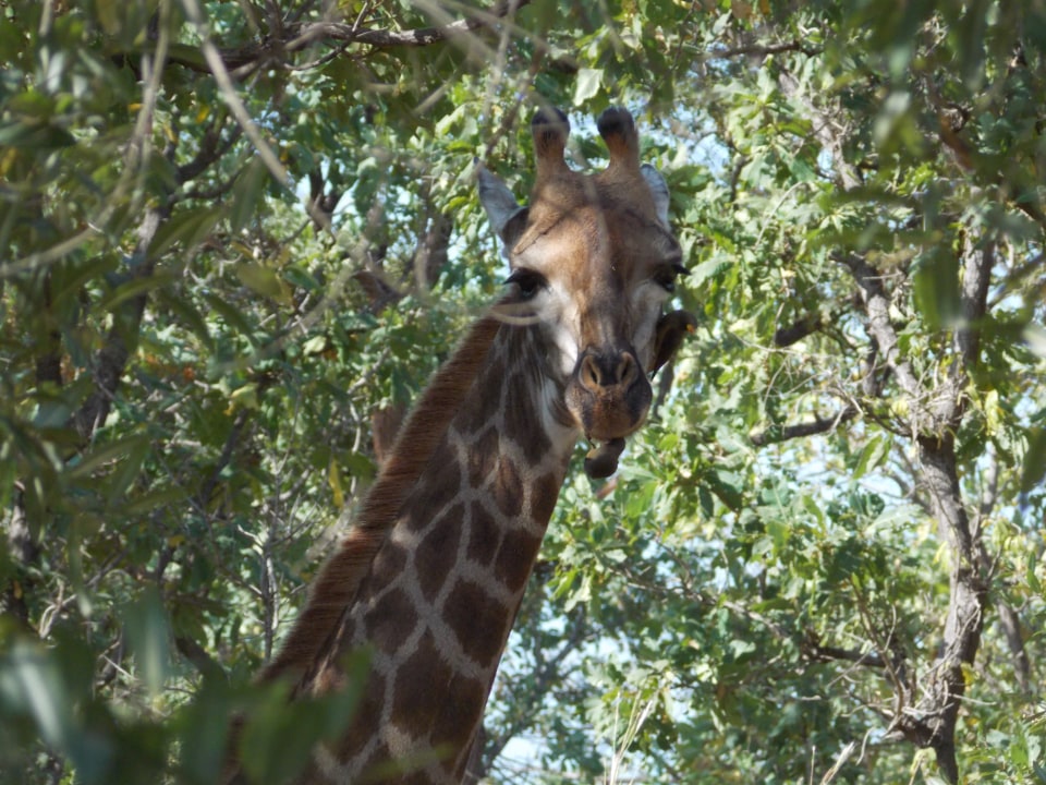 Fathala Nature Reserve, Sine Saloum Delta, Wassu Stone Circles, Baobolong Wetland Reserve