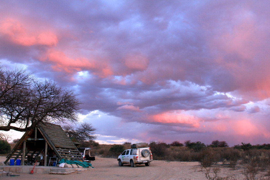 Twee Rivieren entrance, red dunes of the Kalahari, Rooiputs waterholes