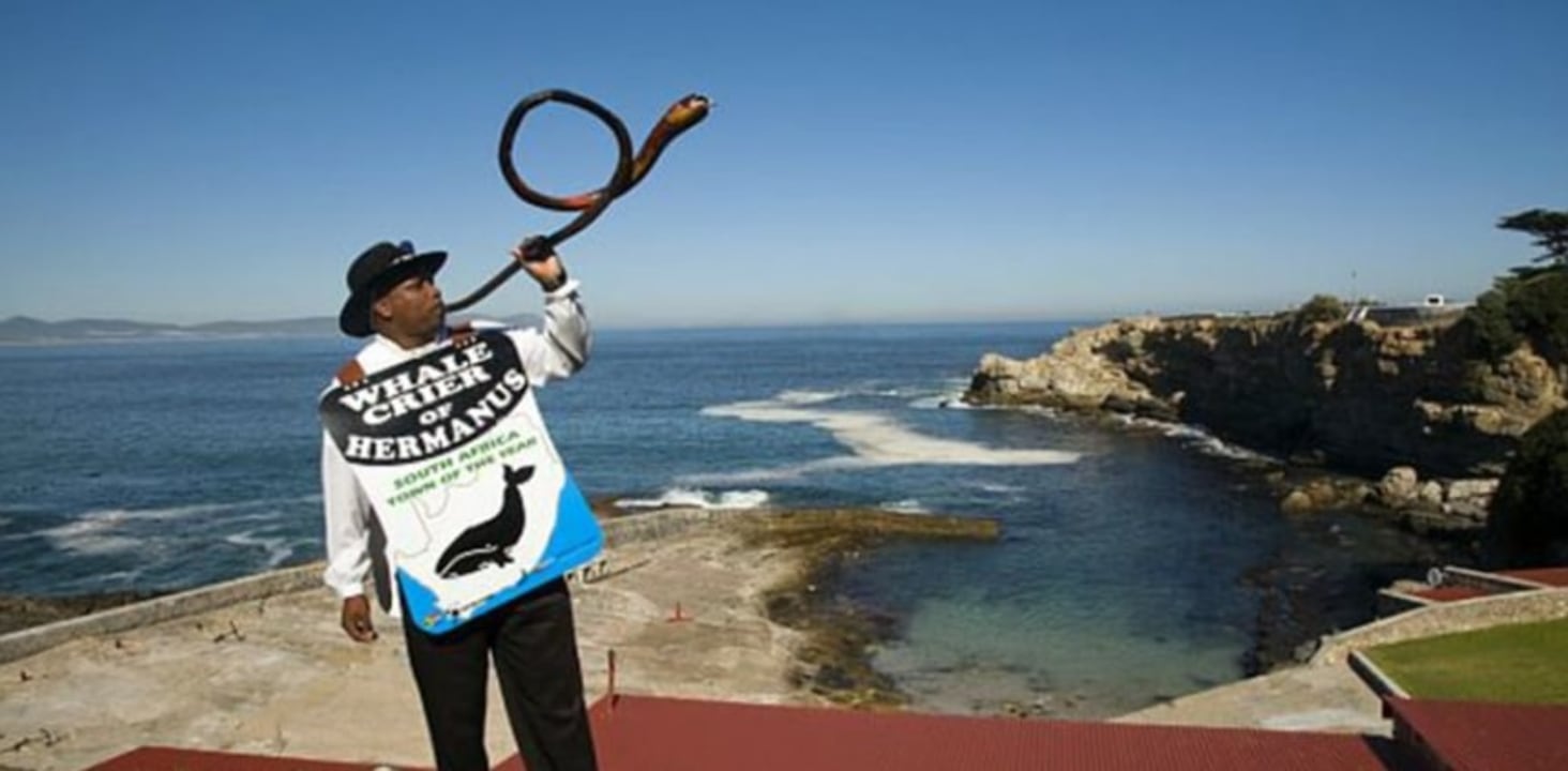 Hermanus coastline, Betty's Bay penguin colony, Gordon’s Bay coastal road