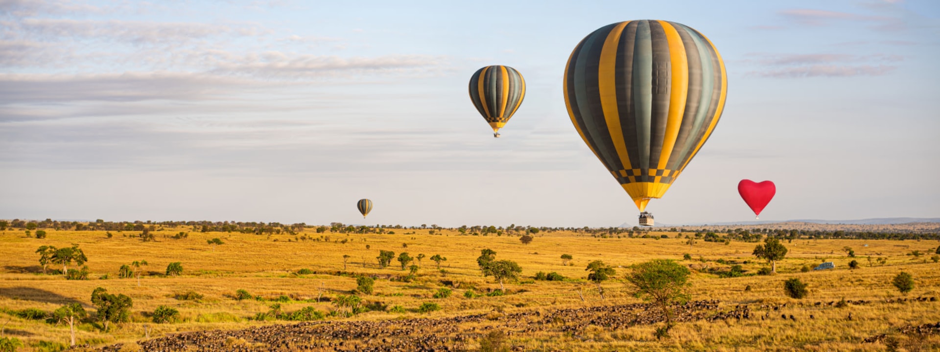 Ruaha National Park, meandering river courses, towering baobabs, granite outcrops