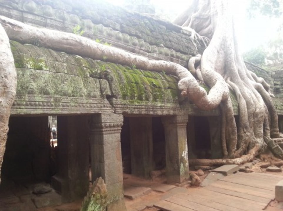 Bayon, Ta Prohm, Angkor Thom, floating village