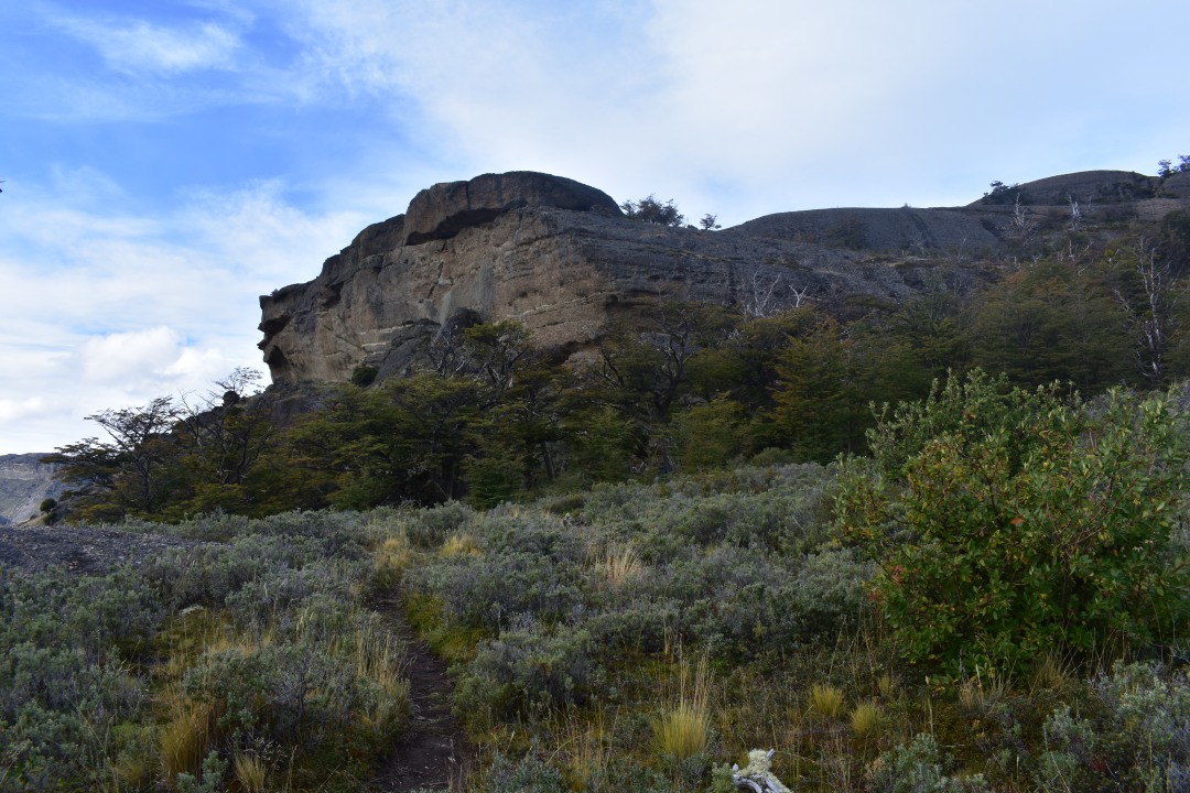 Cueva del Milodón Natural Monument, Cueva Chica trail, lenga and ñirre forest, Milodon Cave