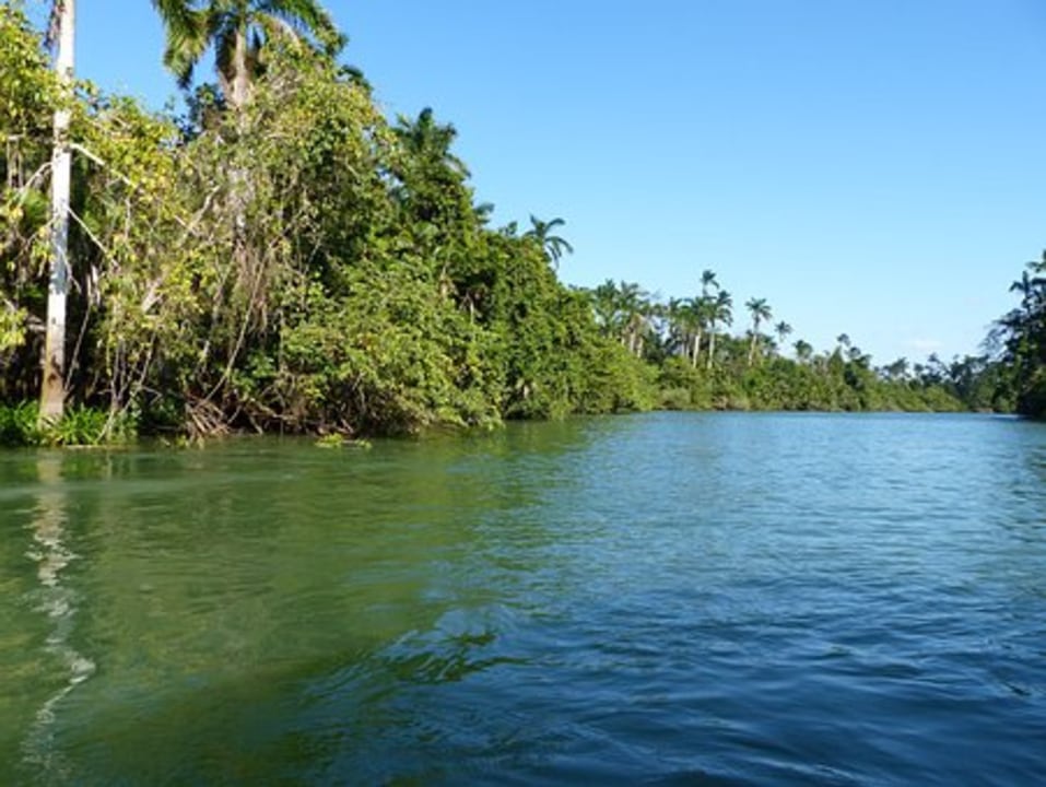 George Price Highway, San Ignacio, broad-leaf sub-tropical forest, river caves