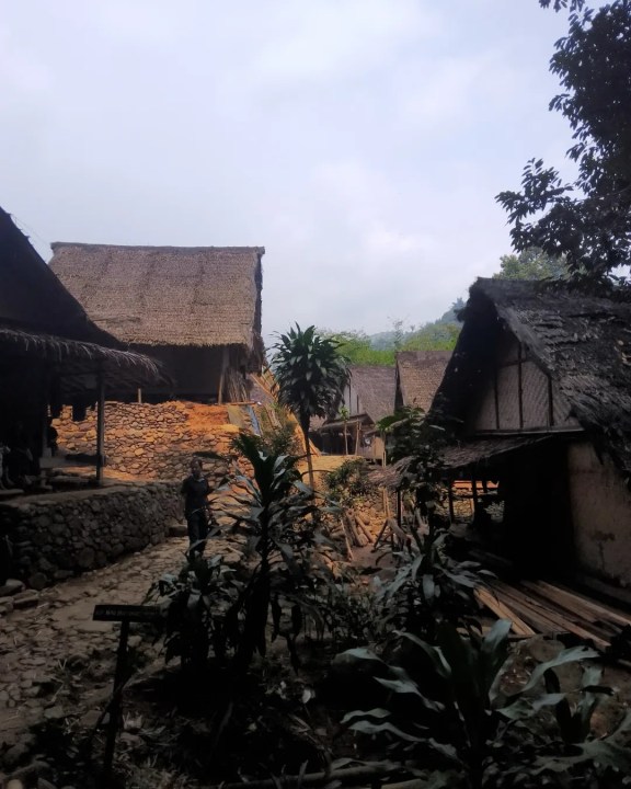 Gajeboh village, hilly rice fields, sugar palm trees, bamboo bridge