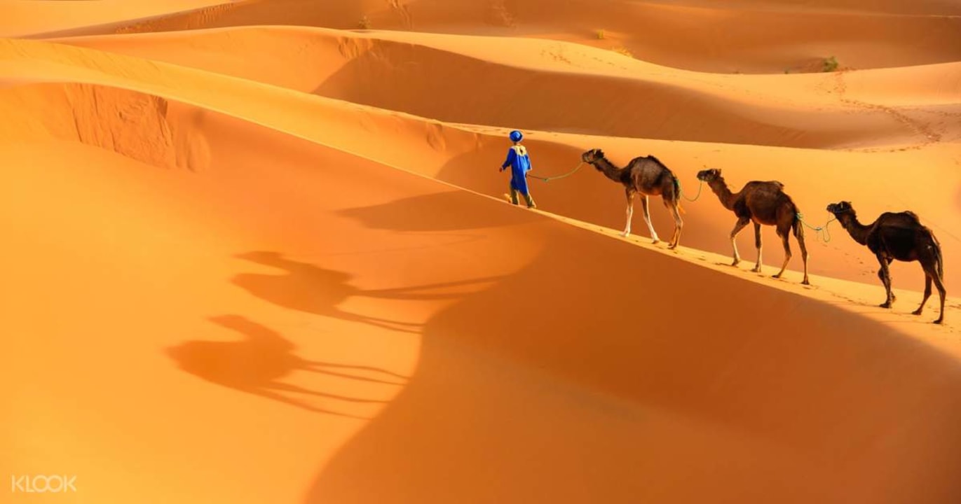Dades Gorges, Aït Benhaddou, Merzouga dunes, Atlas Mountains
