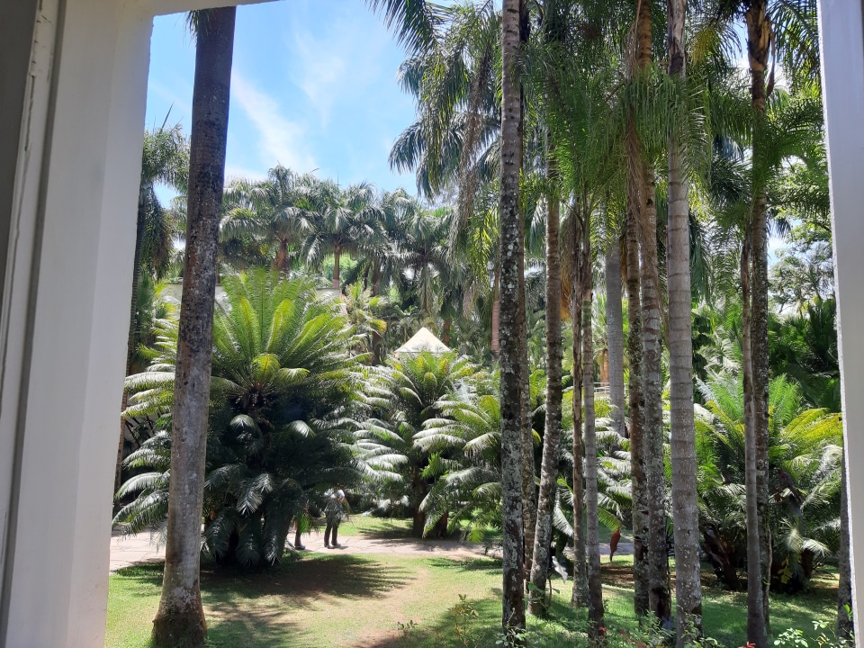 Instituto Inhotim, Jardim Botânico de categoria A, arte e natureza pulsante