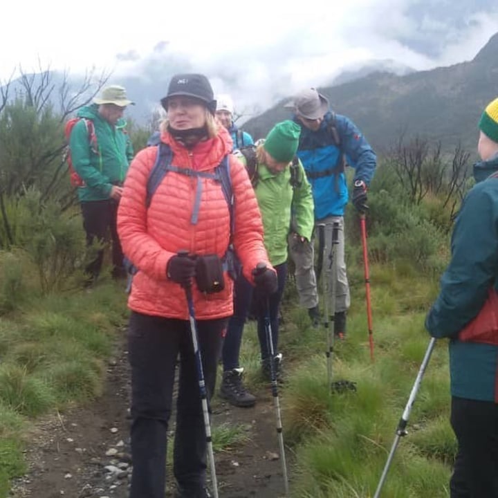 Machame Gate rain forest, Shira Plateau moorland, Lava Tower volcanic rock, Stella Point sunrise over Mawenzi Peak