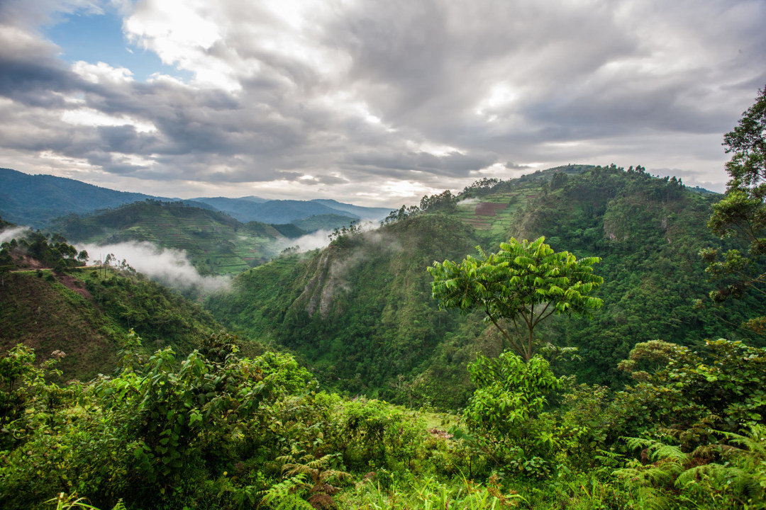 Bwindi Impenetrable National Park, Kigezi highlands, Lake Bunyonyi