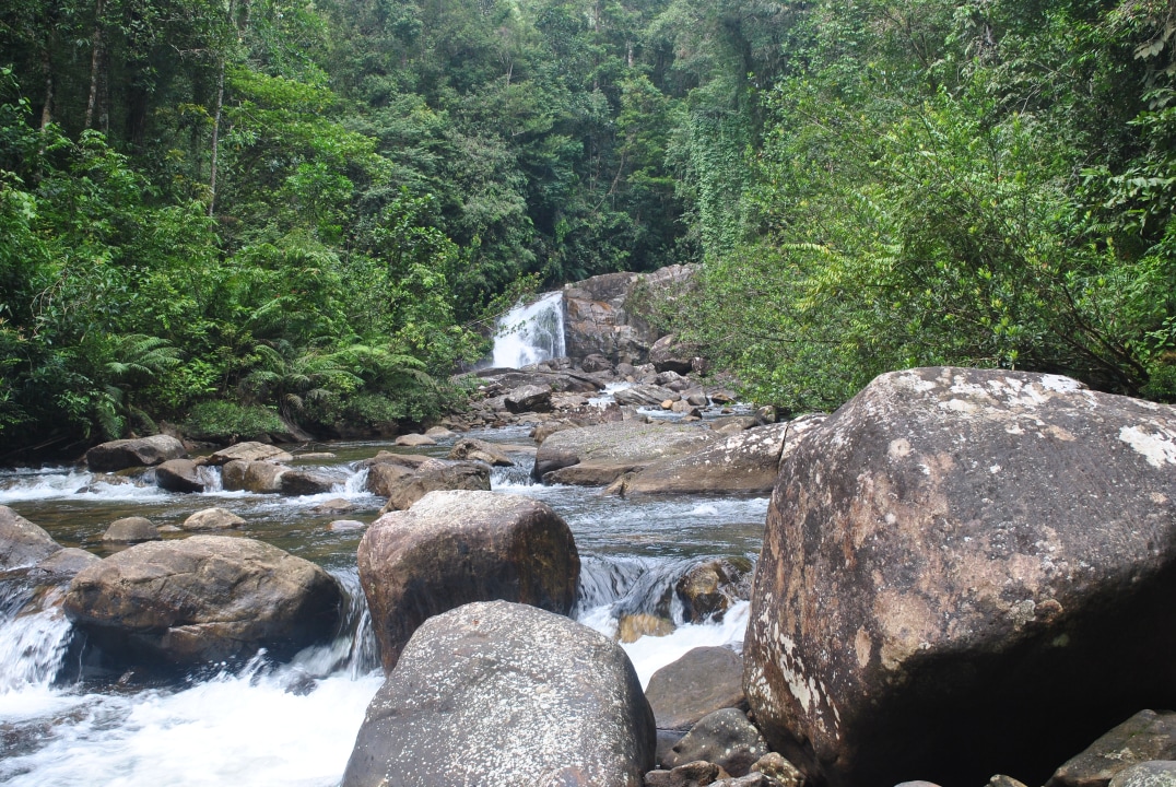Sinharaja Rainforest, Hanging Bridge, Kakuna Waterfall, Pathan Waterfall