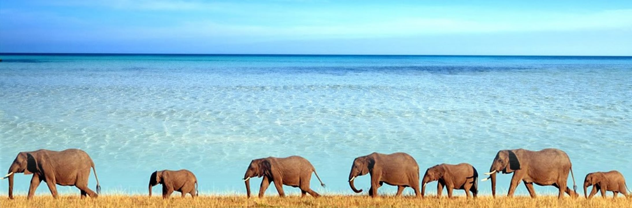 Saadani National Park, Saadani's beautiful beach, Indian Ocean coast