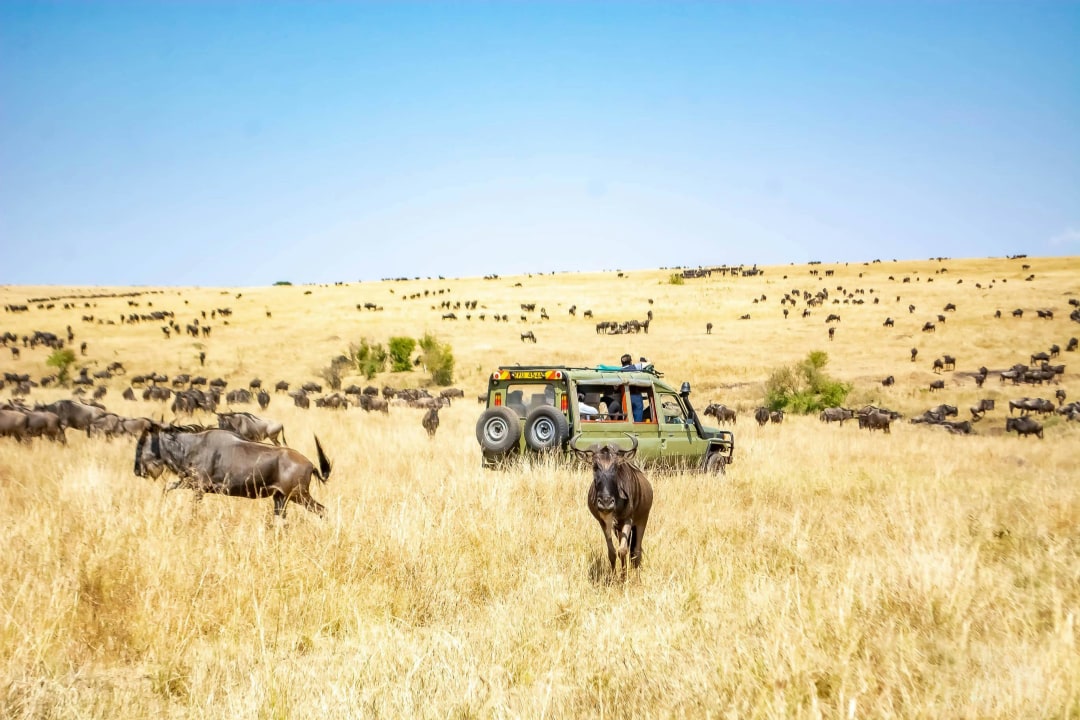 Zanzibar, Serengeti National Park plains, Serengeti airstrip