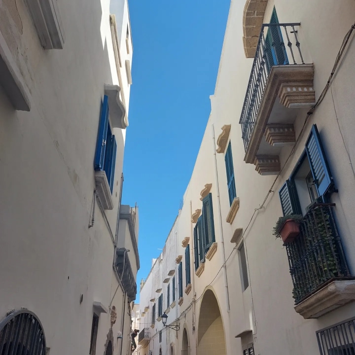 Basilica of Saint Catherine of Alexandria, Galatina's narrow streets, Gallipoli's seaside facing the Adriatic Sea