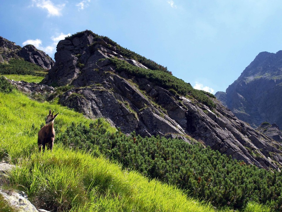 Kasprowy Wierch, Hala Gąsienicowa meadows, Black Tarn with views over Orla Perc
