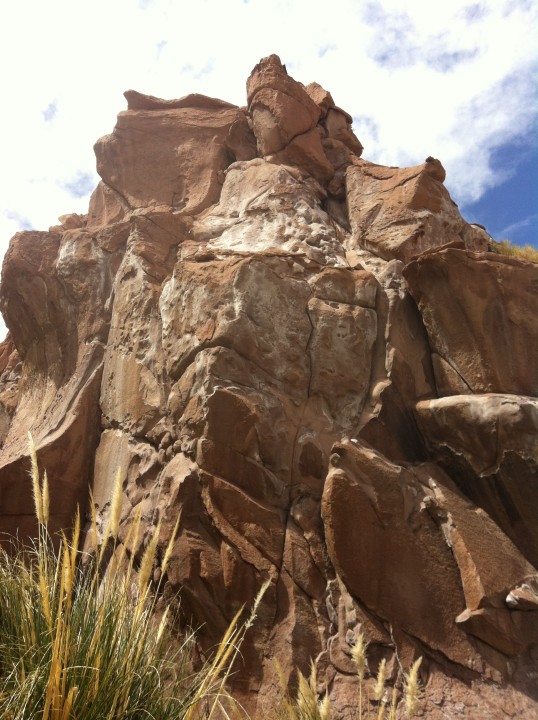 Cactus Valley, Puritama Hot Springs, Atacama Prepuna