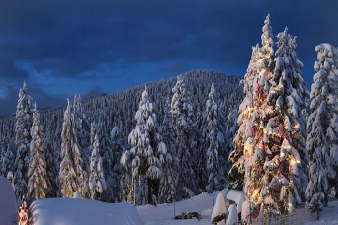 Vancouver Lookout panoramas, Grouse Mountain slopes, Capilano Suspension Bridge crossing