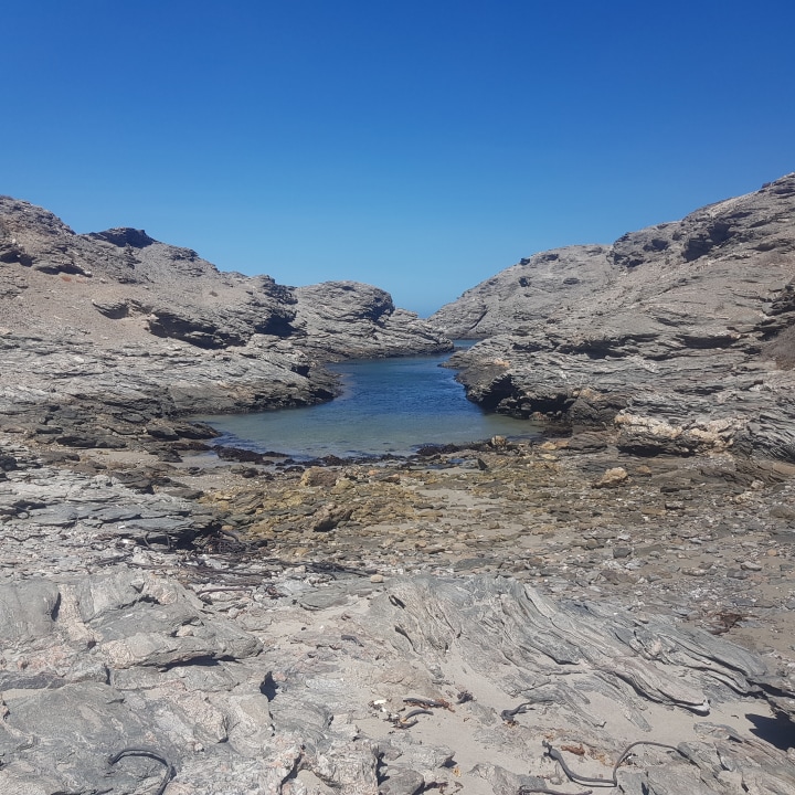 Lüderitz Peninsula, Khaeb National Park coastline, Second Lagoon flamingoes, Halifax Island penguins and seals