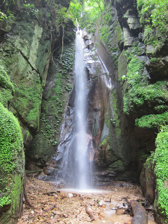 Doctor Livingstone Museum Memorial, Lake Tanganyika shoreline, Gombe National Park forest, Kakombe Waterfall