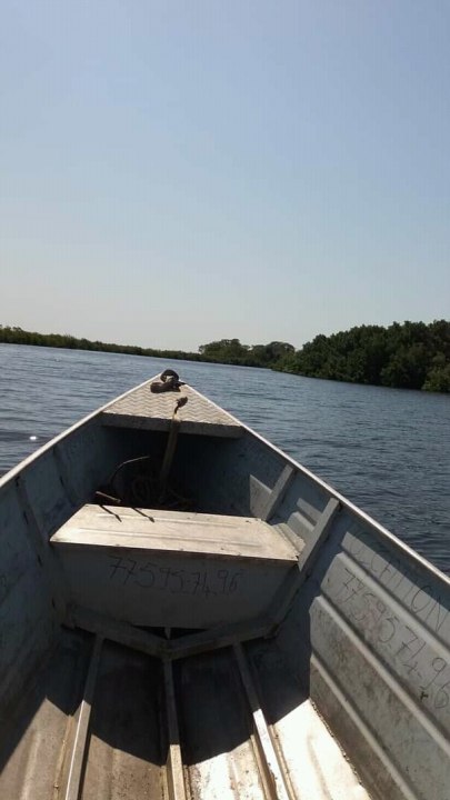 Kaolack Central Market, Saloum River mangroves, Shells Island, Fathala Wildlife Reserve