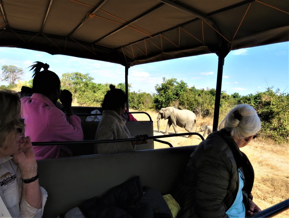 South Luangwa National Park, Mfuwe Airport, Drophill
