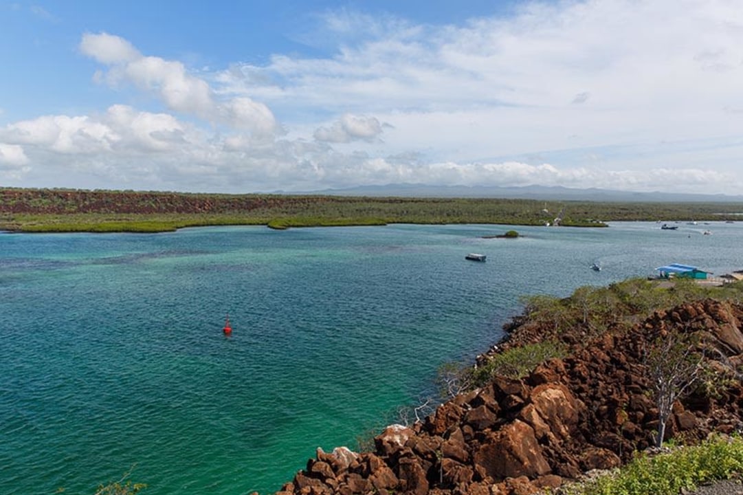 Santa Cruz Island highlands, Fausto Llerena Breeding Center, Charles Darwin Research Station, Puerto Ayora