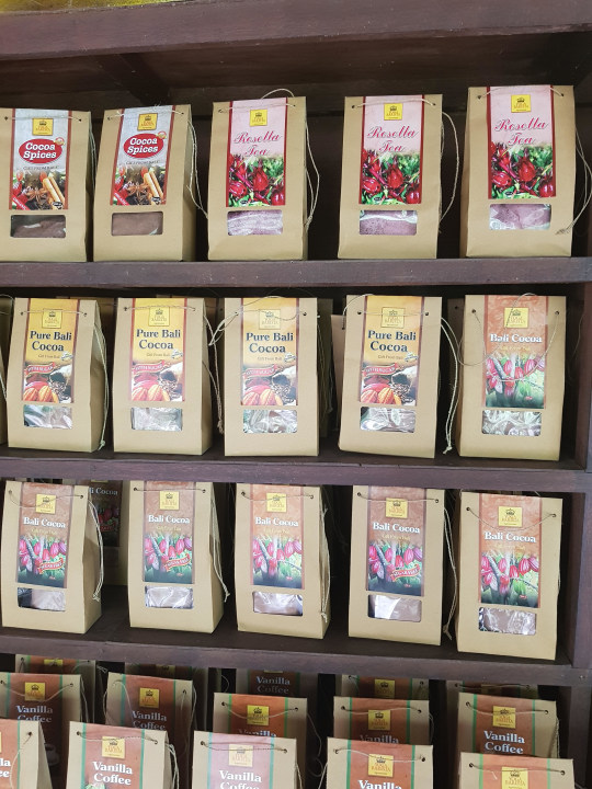 Celuk village silversmiths, batik factory, coffee plantation, Monkey Forest