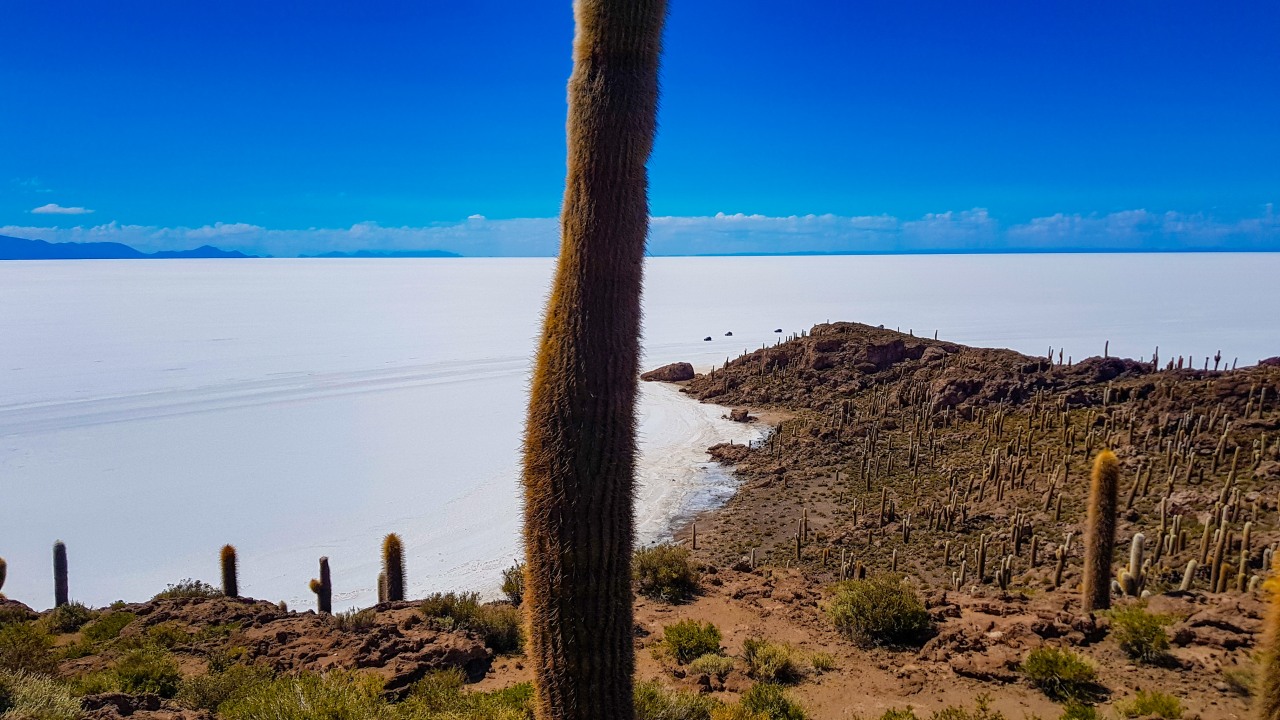 Train Graveyard, Colchani salt miners workshops, Isla Incahuasi giant cacti