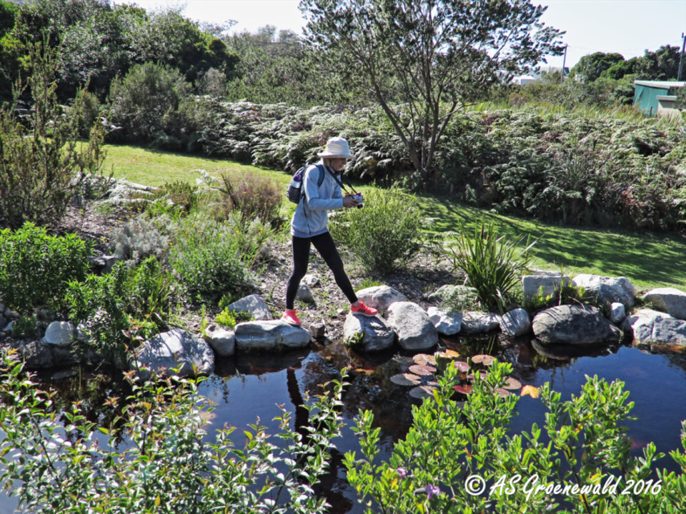 Harold Porter Botanical Gardens, Platberg summit, Leopard's Kloof Gorge