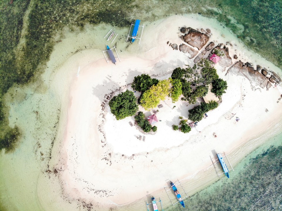 Gili Meno coral reefs, Gili Trawangan by bicycle, Gili Air crystal-clear waters, Monkey Forest encounters