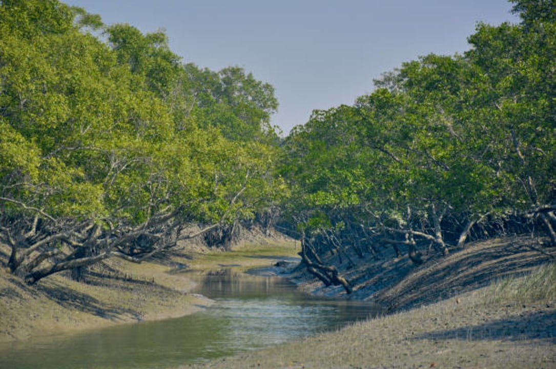 Sundarbans canals, Haldibunia Forest Camp, Lalbagh Fort, Ahsan Manzil