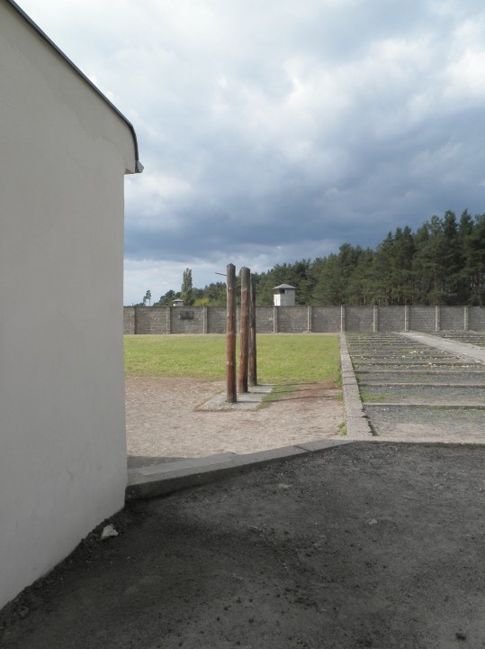 Brandenburg Gate, Holocaust Memorial Site, Berlin Wall, Checkpoint Charlie