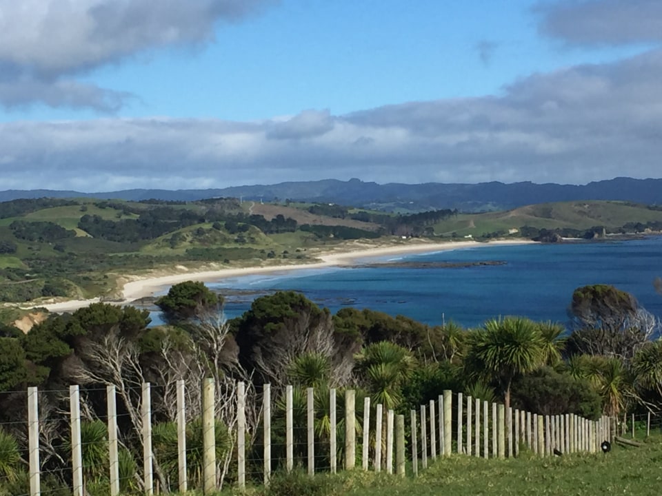 East Coast Regional Park, Matakana wine route, Tokatu viewpoint, white sand beaches