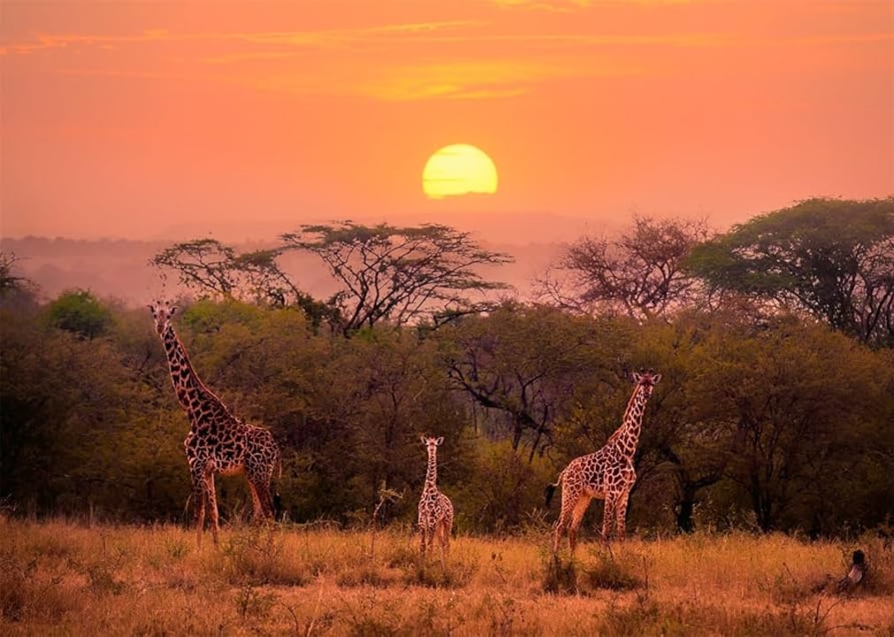 Lower Zambezi National Park riverfront, Lusaka pick-up, Zambia bushland