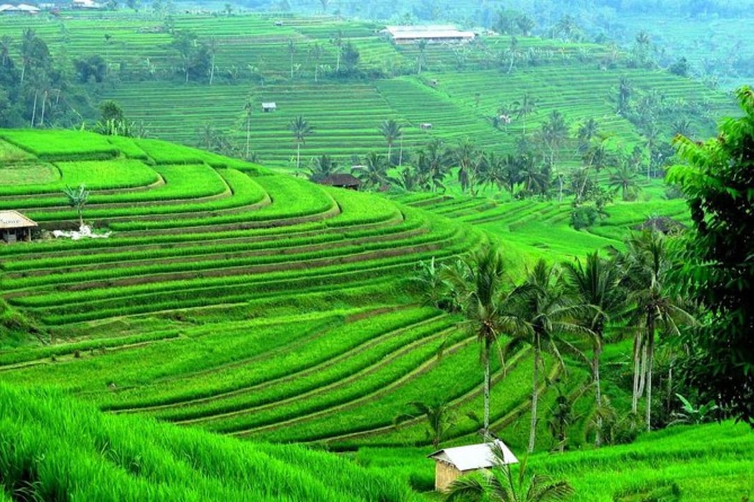 Beratan Lake, Pura Ulun Danu Bratan, Jatiluwih Rice Terrace, Tanah Lot Temple