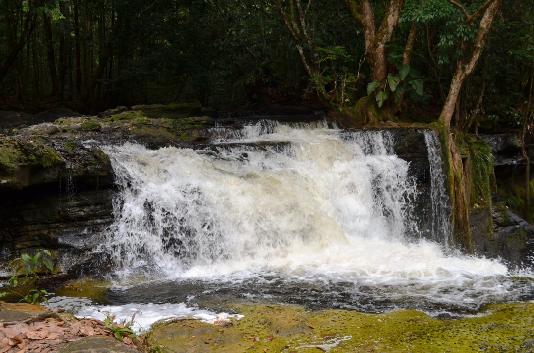 Gruta do Refugio cave, Presidente Figueiredo waterfalls, Amazon jungle