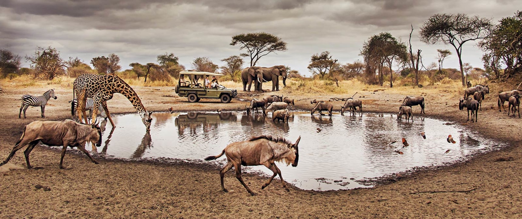 Serengeti National Park, Seronera Camp Site, Olduvai Gorge, Ngorongoro Crater