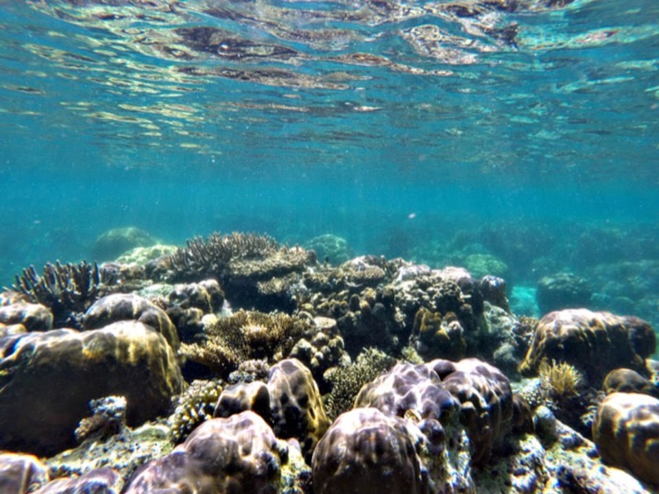 Maxima Island reefs, German Island turtle watching, Port Barton starfish islets