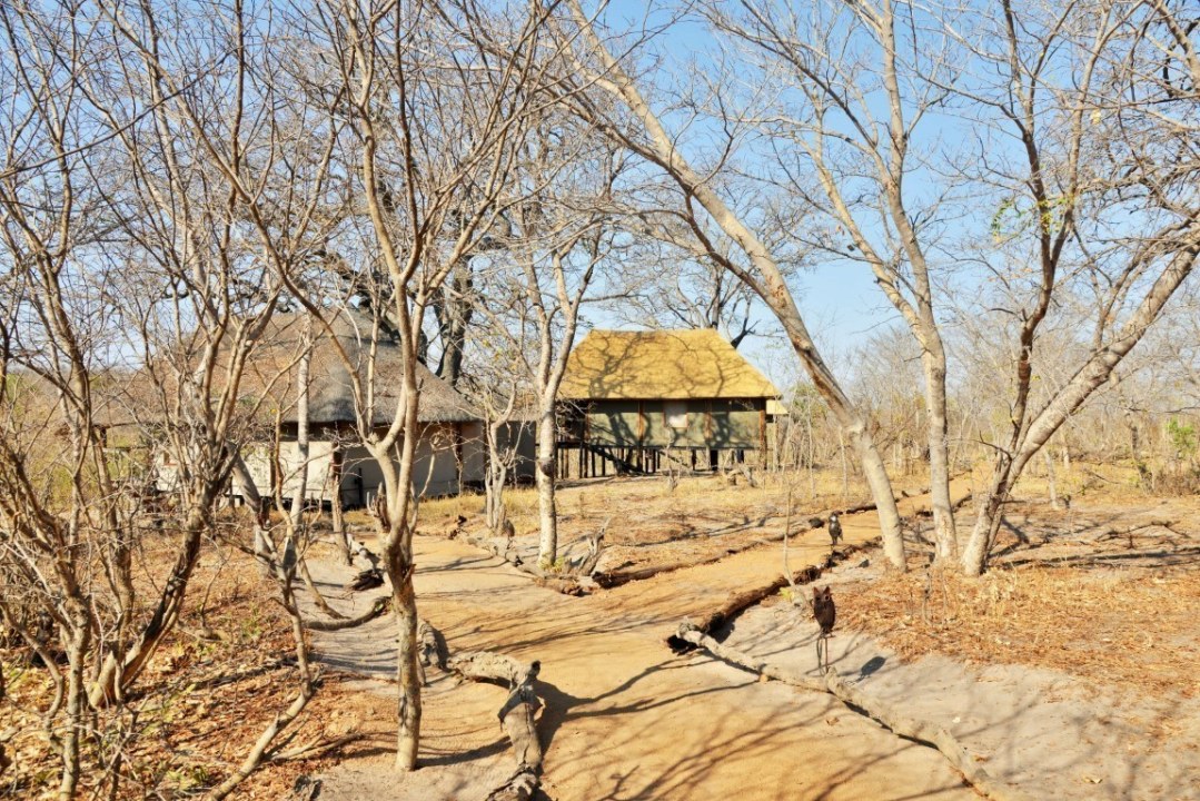 Khulu Bush Camp waterhole, Hwange National Park bushveld, Victoria Falls gateway
