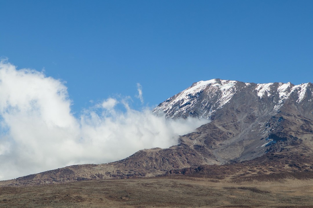 Machame Gate rainforest, Lava Tower acclimatization, Barranco Wall cliffs, Uhuru Peak glacier summit