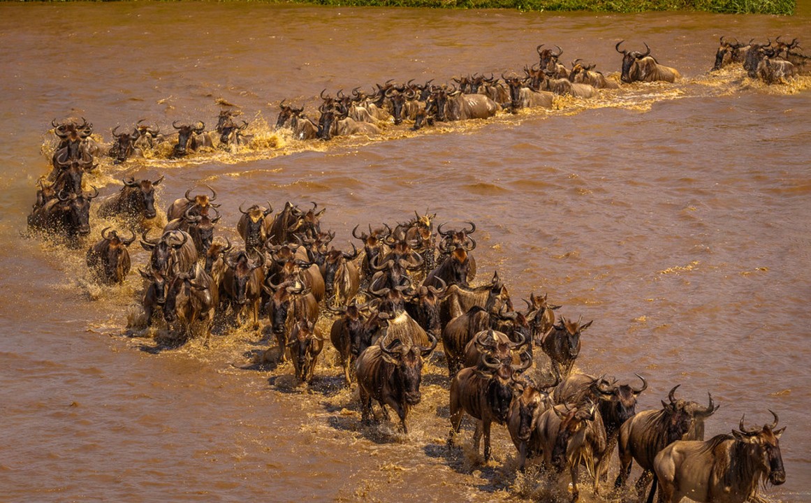 Tarangire River, Serengeti plains, Ngorongoro Crater, Lake Manyara National Park