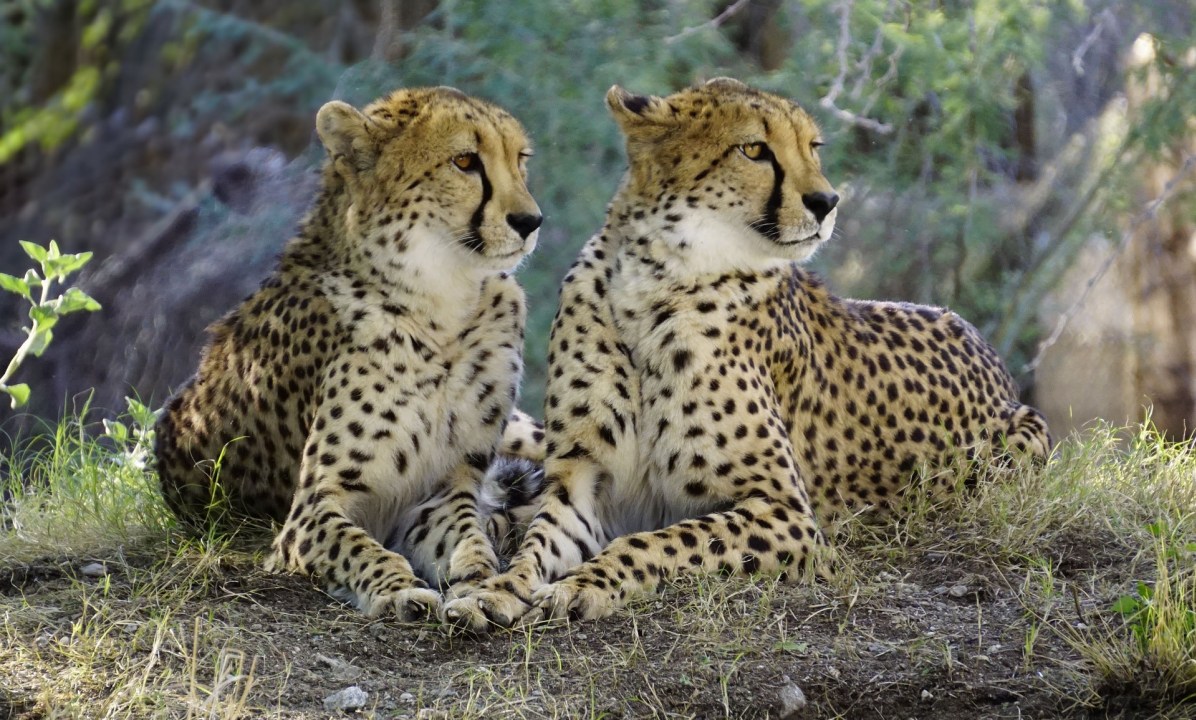 Blyde River Canyon, Bourke's Luck Potholes, Karongwe River Lodge, Drakensberg Mountains