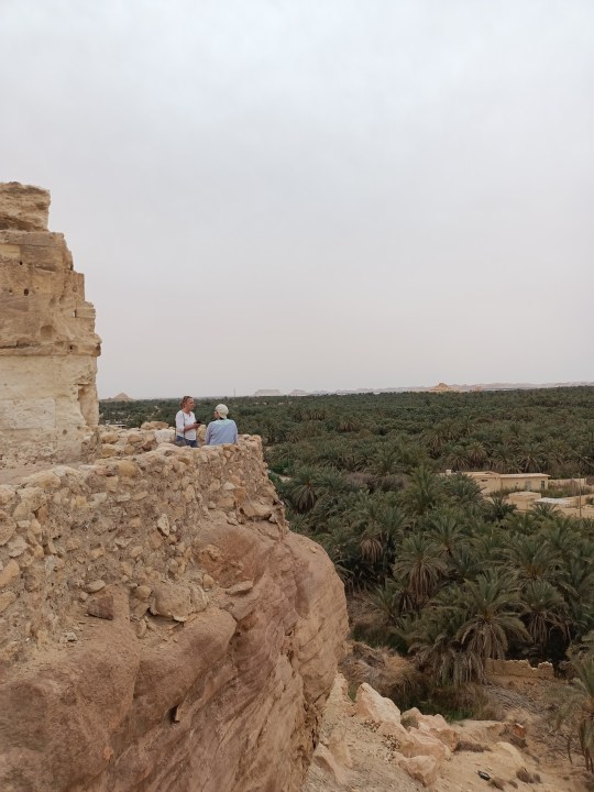 Shali Fortress, Oracle Temple of Amun, Fatnas Island sunset, Cleopatra's Spring