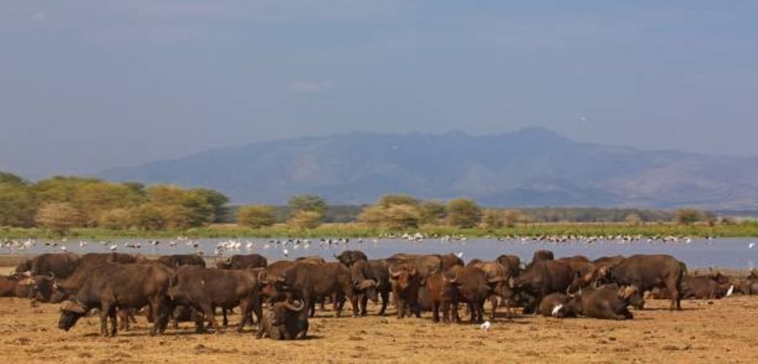 Sunrise over the Serengeti plains, Ngorongoro Crater, Lake Manyara National Park, Tarangire National Park