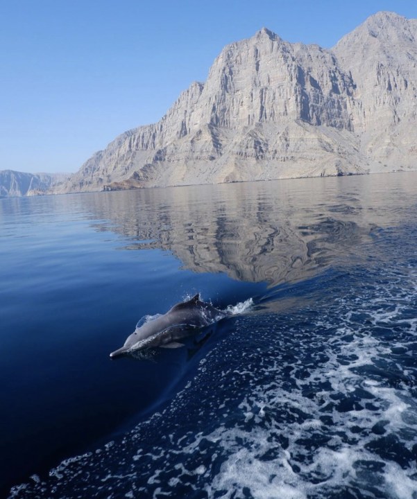 Khor Sham Fjord, Telegraph Island, Sibi Island, Khasab, Oman