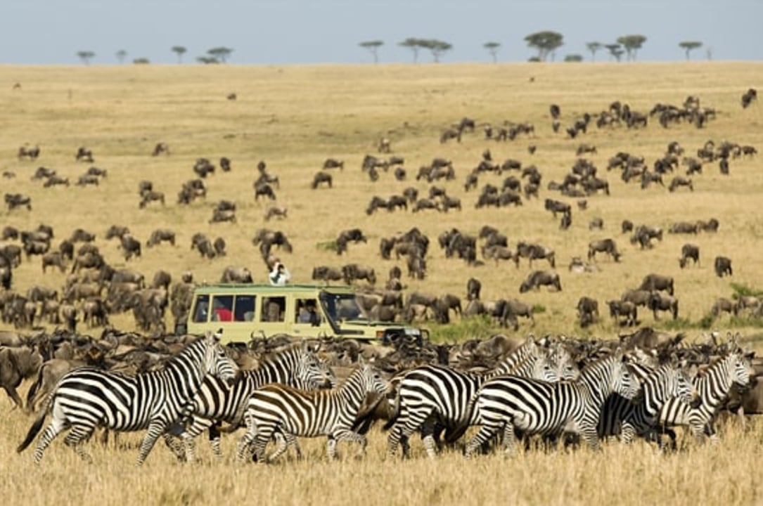 Mara River, Kogatende Airstrip, Lobo Valley plains, Ngorongoro Crater