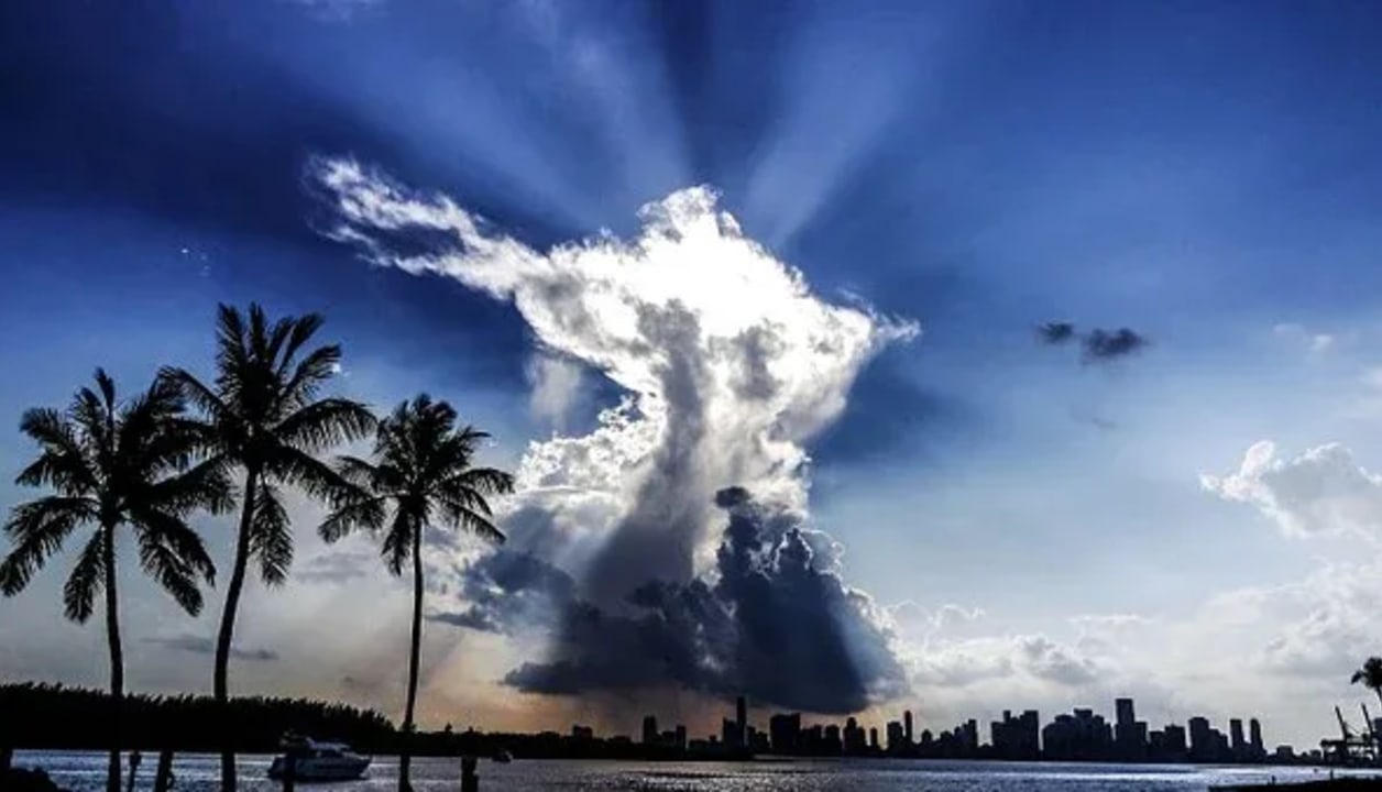 South Beach, Palm Island (only with SUV), Coconut Grove, Coral Gables