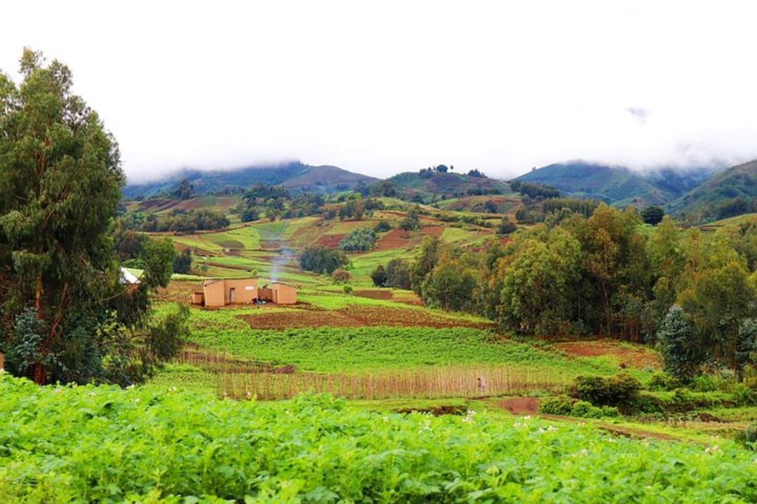 Moshi town, Tanzania Plantation Company sugarcane fields, Planters Restaurant