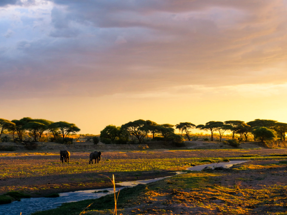 Mikumi National Park savannah, Ruaha National Park wilderness, Sanje Waterfalls, Udzungwa Mountains National Park forest