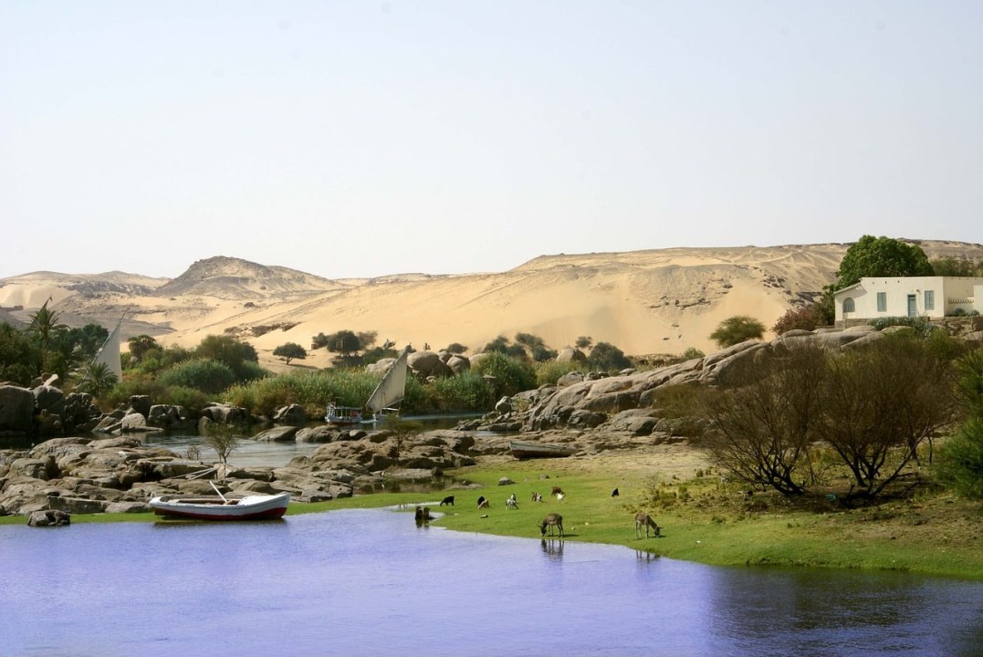 the Pyramids, the Sphinx, Saqqara, the Egyptian Museum