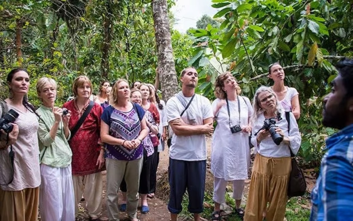 Lower Camp, grapeyards and vegetable farms, Ottakathimedu and Padunduparai viewpoints
